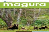 W numerze m.in. - Magurski Park Narodowy · 2018. 12. 5. · Rolnictwo w zgodzie z natur ... Obrazkowy klucz do oznaczania Niniejszy materiał został opublikowany dzięki dofinansowaniu