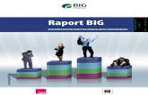 2012 A · 2012. 12. 20. · Obecny raport BIG jest już 20. edycją cyklicznego badania. Podstawowym wskaźnikiem, który prezentuje poziom oraz zmiany badanego zjawiska jest BIG