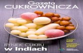 Gazeta Cukrowni Czacukier.org.pl/upload/files/Gazeta Cukrownicza (grudzień... · 2016. 12. 6. · cukier będą rosnąć w dotychczasowym tempie. Biorąc pod uwagę odnotowany w