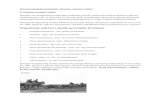 Organizacja wojenna i obsada personalna dywizjonuzychlin-historia.com.pl/wp-content/uploads/2013/07/67... · 2019. 12. 18. · Widoczna armata polowa 75 mm Armata 75 mm wz. 1897 .