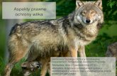 Aspekty prawne ochrony przyrody - Nasz Racibórz · 2020. 1. 4. · Aspekty prawne ochrony wilka Generalna Dyrekcja Ochrony Środowiska, Departament Zarządzania Zasobami Przyrody