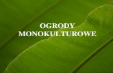 OGRODY MONOKULTUROWEzsae-karolewo.pl/korona/IITAK_4czerwca_OGRODY... · 2020. 6. 4. · OGRODY MONOKULTUROWE. OGRODY MONOKULTUROWE. W ogrodach monokulturowych. sadzone są różne