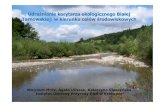 Udra Ŝnianie korytarza ekologicznego Bia łej Tarnowskiej: w … · 2017. 7. 13. · Kod siedliska przyrodniczego Nazwa typu siedliska przyrodniczego Liczba płatów Powierzchnia