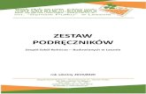 ZESTAW - Lesznonowa.zsrb.leszno.pl/images/pdf/podreczniki2019-20.pdf · 2019. 9. 10. · rozszerzona Oblicza geografii. Zakres rozszerzony R. Malarz M. Więckowski P. Kroh Nowa Era