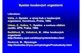 Systém houbových organismold.botany.upol.cz/prezentace/sedlarova/System_hub_1.pdf · 2005. 2. 28. · Zoospory –2 bi číky (péřitý a téměř hladký) Fylogenetická příbuznost