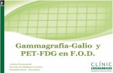 Gammagrafía-Galio y PET-FDG en F.O.D. · 2010. 11. 2. · Mecanismo Captación 67-Galio Linfomas 1. Correlation of flow cytometric parameters and transferrin receptors with gallium-67