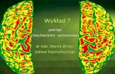 pamięć (mechanizmy systemowe) dr hab. Marek Binder Zakład …zpf.psychologia.uj.edu.pl/biopsy/prezentacje/bmz1_wyk11... · 2020. 1. 22. · pamięć długotrwała (LTM) pamięć