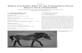 Chapter 7 Status and Action Plan for the Przewalski’s ...Equus ferus przewalskii EW Extinct in the Wild CITES Listing: Equus ferus przewalskii Appendix I 7.2 Biological data 7.2.1