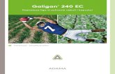 Galigan 240 EC - Agrosimex...3 Galigan 240 EC – dogodne terminy aplikacji Kapusta głowiasta biała, kapusta głowiasta czerwona, kapusta włoska. Zalecana dawka: 1-1,5 l/ha bezpośrednio