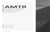 AMTRamtr.pl/images/katalog/rampy/amtrk-pro/pdf/1_rampy.pdf · 2020. 11. 29. · 12 Systemy przeładunkowe 2000, 2500, 3000, 3500, 4000 mm 2000, 2250 mm 610 mm 400, 500 mm (w zależności