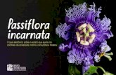 Sumário - Centroflora · 2018. 1. 24. · 40. Arteche García, A. (dir). Fitoterapia: Vademecum de prescrição. 3ª ed. Barcelona: Masson, 1998. p. 360-363. 41. HerbClip. 1996.