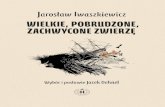 Jarosław Iwaszkiewicz - Poezjem.plfile.poezjem.pl/samples/Wielkie_pobrudzone_zachwycone... · 2016. 2. 24. · Książka kucharska prababki . . . . . . . . . . . . . . . . . 61 Doktor