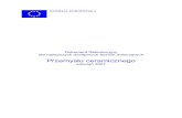 KOMISJA EUROPEJSKA - EKOportal · 2019. 2. 26. · Produkcja Związków Organicznych Głęboko Przetworzonych OFC Produkcja polimerów POL Przemysł Chloro-alkaliczny CAK Przemysł