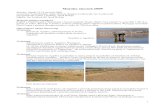 Maroko styczeń 2009 - Kestrel.plkestrel.pl/wp-content/uploads/2013/04/Relacje_z_podrozy...gołąb miejski C 71. grzywacz Columba palumbus – 20 os. przelatujące nad wadi Souss 72.