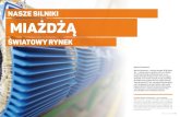 Nasze silniki miażdżą - Polski Przemysł · 2020. 4. 5. · Silniki elektryczne dzieli się na kilka grup. Pomówmy o tych, które wy produkujecie. W ofercie mamy ponad 13 tys.