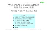 WG5 (リソグラフィWG)活動報告 「光延命とEUVの現状」 - …...Work in Progress - Do not publish STRJ WS: March 5, 2010, WG5 Litho 6 Potential Solutionsの変遷 22005