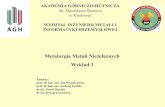 Metalurgia Metali Nieżelaznych Wykład 3 - Strona główna AGHhome.agh.edu.pl/~zmsz/pl/pliki/mmn/MMN_W03_MIEDZ2.pdf4 Metalurgia Metali Nieżelaznych W. 3. FeS + 3/2 O 2 = FeO + SO