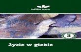 Życie w glebie - robia.pl · 2017. 1. 2. · Płazińce i nicienie Przedstawiciele płazińców występujących w glebie to wirki. Wirki zasiedlają wodę glebową. Są to bardzo