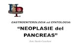 GASTROENTEROLOGIA ed EPATOLOGIA: “NEOPLASIE del PANCREAS” del... · 2008. 6. 9. · NEOPLASIE DEL PANCREAS DIAGNOSTICA: ECOGRAFIA E TAC Sensibili per lesioni superiori a i cm