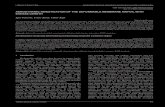 I. Petrović, F. Kosel, V. Šajn ISSN 1330 -3651 (Print), ISSN 1848 … · 2017. 5. 2. · Igor Petrović, Franc Kosel, Viktor Šajn. Original scientific paper The deformable membrane