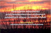 Potencjalne właściwości przeciwnowotworowe wybranych pospolitych drzew … · 2020. 2. 10. · Rośliny lecznicze w Polsce •W Polsce rośnie około 2300* gatunków roślin nasiennych,