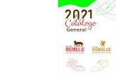 CATALOGO GENERAL 2021 - Ninus Design & Technology · Suela: Rocio 3 1/2 - Café Plantilla: Beige 2631020700326742 Ext. 0021 Cuero: Romulo Color: Negro Suela: Rocio 3 1/2 - Negro Plantilla: