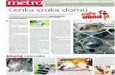 Canimal.pl.wy Lenka szuka domubi.gazeta.pl/im/5/5500/m5500925.pdfchowuje czystość w domu, posłusznie chodzi na smyczy. Możliwa pomoc przy transporcie. Tel.: 609 890 204, e-mail: