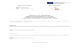 Departament Funduszy Europejskich MSWiAfundusze.mswia.gov.pl/download/78/22777/Podrecznikdla... · Web viewCelem ogólnym Instrumentu, zgodnie z Rozporządzeniem Parlamentu Europejskiego