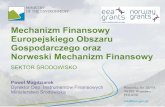 Mechanizm Finansowy Europejskiego Obszaru Gospodarczego ...archiwum.mos.gov.pl/g2/big/2010_12/b3600d9ab... · 533.51 mln Euro na lata 2004-2009, w tym ponad 133 mln Euro na projekty
