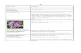 adenopodum x metternichii var. micranthum adenopodum x …rhodyman.net/arsfall2009/committee/PlantCatalogA-Z.pdf · 2018. 5. 2. · Anna Caroline Gable (Gable) adenopodum x degronianum
