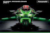 GAMA MODELOWA 2021 - Kawasaki