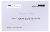 Biznes Plan Handbook PL