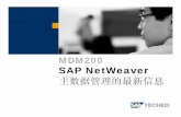 MDM200 SAP NetWeaver D B1u)Ú,X Ô µ C