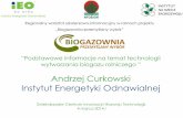 Andrzej Curkowski Instytut Energetyki Odnawialnej
