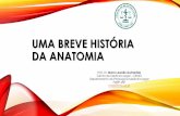 UMA BREVE HISTÓRIA DA ANATOMIA