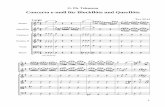 Concerto e-moll für Blockflöte und Querflöte