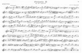 Sonata Il in G minor FLUTE G. F. Handel Adagio cresc ...