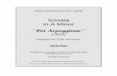Sonata in A Minor Per Arpeggione - sheetmusicviola.com