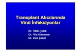 Transplant Alıcılarında Viral İnfeksiyonlar