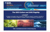 GEO GHG Flagship GCOS Sci Conf 2016 PDF
