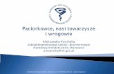 Narodowy Instytut Leków; Warszawa, ul. Chełmska 30/34; …