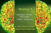 Wykład 5 - zpf.psychologia.uj.edu.pl