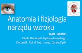 Anatomia i fizjologia narządu wzroku - okulistyka.wum.edu.pl