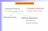 Transport przez błony - Urząd Miasta Łodzi