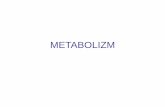 METABOLIZM - EduPage
