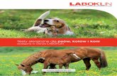 Testy alergiczne dla psów, kotów i koni - LABOKLIN Polska