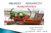 PROJEKT BADAWCZY MARCHEWKA - EduPage