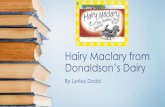 Hairy Maclary from Donaldson’s Dairy