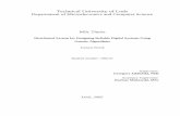 Departament of Microelecronics and Computer Science MSc Thesis