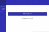 Perceptron (c) Marcin Sydow Summary Perceptron